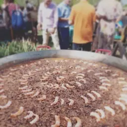 Catering de paella de marisco para eventos en Girona