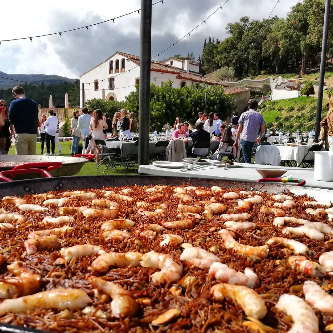 Paella vegetariana preparada per a una celebració privada amb amics
