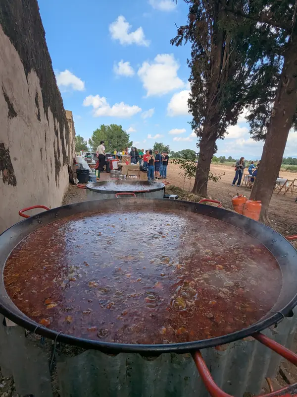 Paella gegant a l'aire lliure entre pins